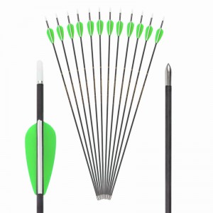 119673 30T High Modulus ID3.2mm Pure Carbon Arrows